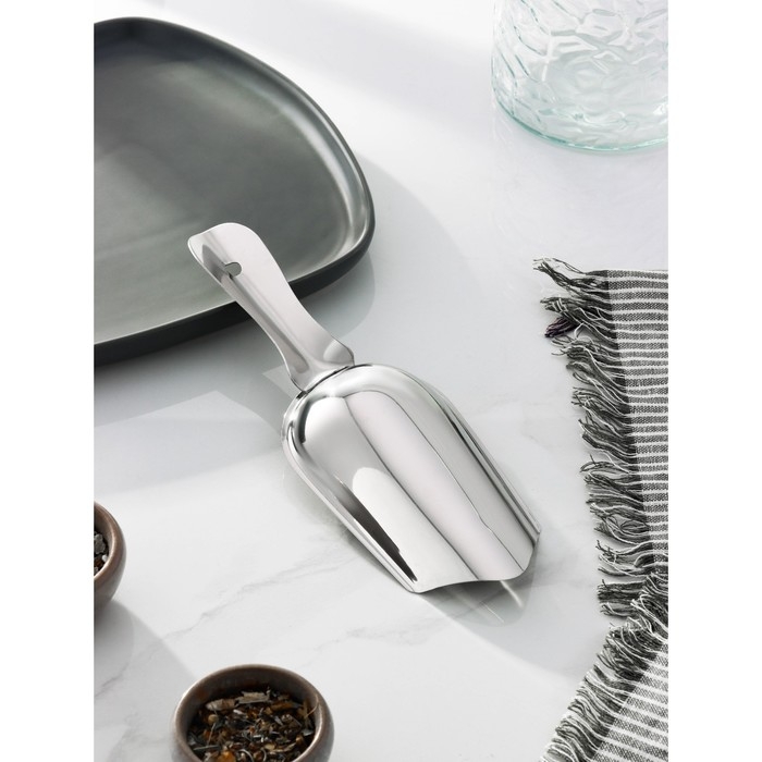 Совок из нержавеющей стали Доляна &laquo;Индия&raquo;, 24&times;8 см, толщина 0,7 мм