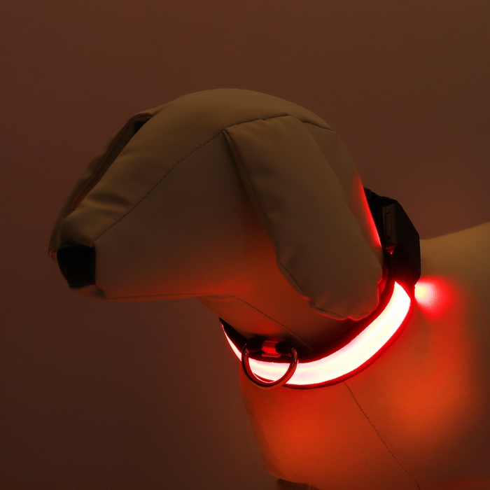 Ошейник с подсветкой Flash 3 режима свечения, размер S, ОШ 35-43 х 2,5 см красный