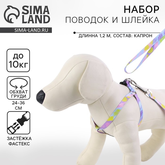 Комплект &laquo;Листья&raquo;, шлейка 24-36 см, поводок 120х1 см