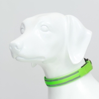 Ошейник с подсветкой Двойная полоса размер М, ОШ 40-48 х 2,5 см, 3 режима свечения зелёный Ошейник с подсветкой Двойная полоса размер М, ОШ 40-48 х 2,5 см, 3 режима свечения зелёный