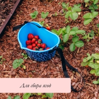 Ёмкость для сбора ягод, 3 л, &laquo;Черника&raquo;, голубая