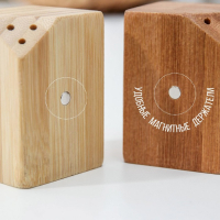 Набор для специй, 10&times;5&times;7 см, 2 шт, на магнитах, бамбук