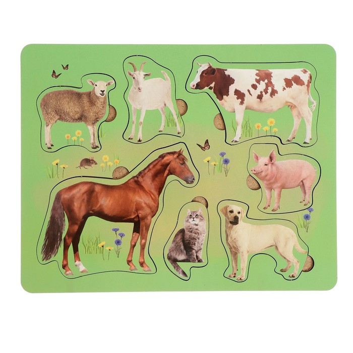 Рамка-вкладыш &laquo;Домашние животные&raquo;
