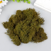 Мох стабилизированный "Крапива" 45 гр (+-5 гр) Мох стабилизированный "Крапива" 45 гр (+-5 гр)