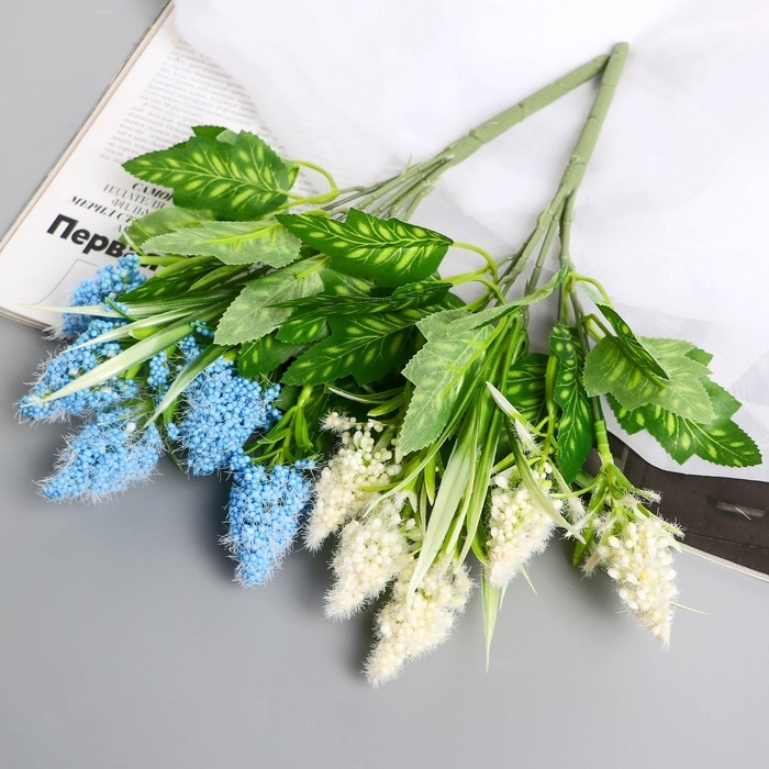 Букет Букет "Пушица мимоза" 30 см, микс