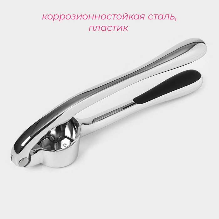 Пресс для чеснока Доляна &laquo;Идея&raquo;, 16,5 см