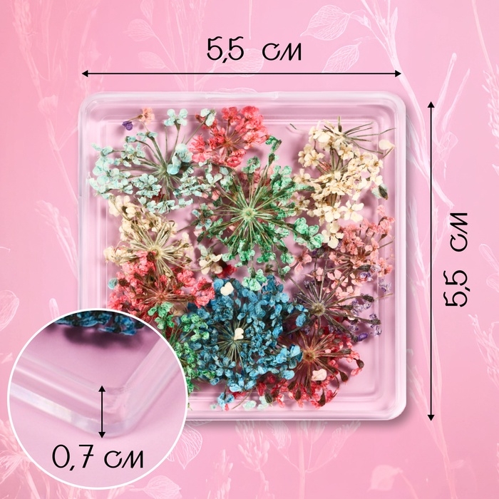 Сухоцветы для декора ногтей, в футляре, вид МИКС Сухоцветы для декора ногтей, в футляре, вид МИКС