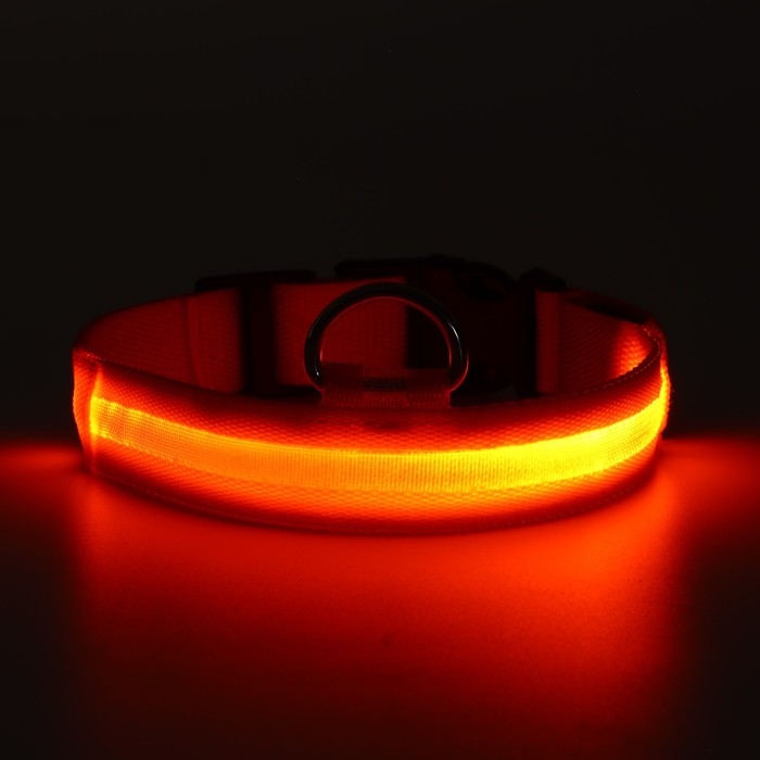 Ошейник с подсветкой размер XL, ОШ 52-60 х 2,5 см, 3 режима свечения оранжевый