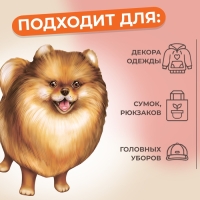 Термотрансфер &laquo;Пушок&raquo;, 15,2 &times; 20,7 см, цена за 1 лист