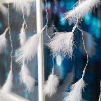 Гирлянда «Занавес» 3 × 1.4 м с насадками «Перья», IP20, прозрачная нить, 80 LED, свечение тёплое белое, 8 режимов, 220 В Гирлянда «Занавес» 3 × 1.4 м с насадками «Перья», IP20, прозрачная нить, 80 LED, свечение тёплое белое, 8 режимов, 220 В