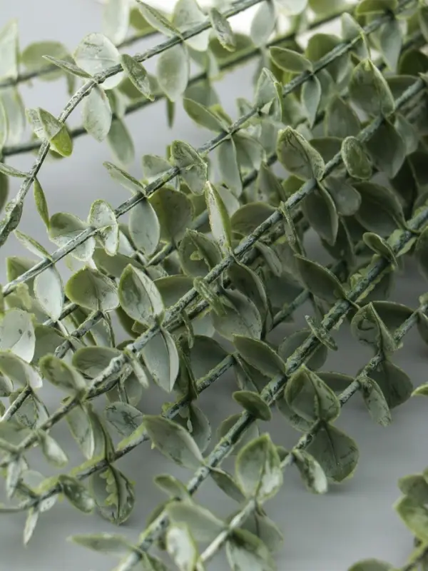 Цветы искусственные &laquo;Эвкалипт цинерия&raquo;, h=53 см, зелёные