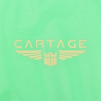 Термосумка Cartage Т-21, салатовый, 18 л, 35х21х24 см