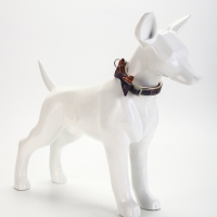 Ошейник "Джентельмен в клеточку", 40 х 1,5 см, коричневый