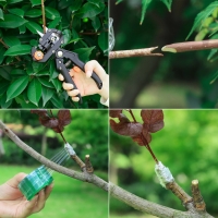 Лента для подвязки растений, биоразлагаямая, длина 100 м