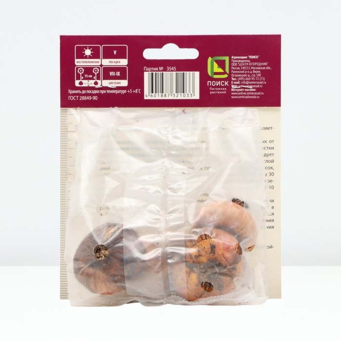 Гладиолус крупноцветковый &laquo;Бонфайр&raquo;, луковица цветов в пакете с перфорацией, р-р 12/14, 5 шт.