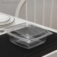 Контейнер одноразовый с неразъёмной крышкой ПР-СК-РГ-А, пластик, 750 мл, 16.8&times;6 см, прозрачный