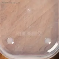 Ланч - бокс новогодний &laquo;Печеньки&raquo;, 500 мл