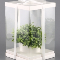 Коробка PVC, для цветов с лентой, 28 х 18 х 18 см, белый Коробка PVC, для цветов с лентой, 28 х 18 х 18 см, белый