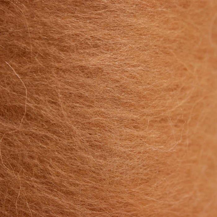 Шерсть для валяния Шерсть для валяния "Кардочес" 100% полутонкая шерсть 100гр (005 бежевый)