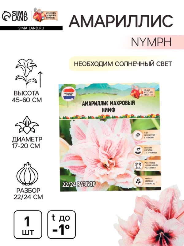 Амариллис Махровый Nymph, многолетник, луковица, р-р 22/24, 1 шт.