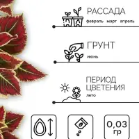 Семена цветов Колеус "Оригинальный", ц/п,  смесь,  0,03  г