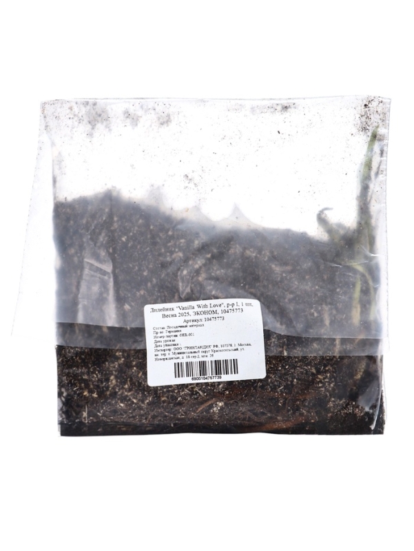 Лилейник "Vanilla With Love", р-р I, 1 шт, Весна 2025, ЭКОНОМ,