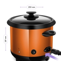 Рисоварка электрическая КТ-232 - 350 Вт