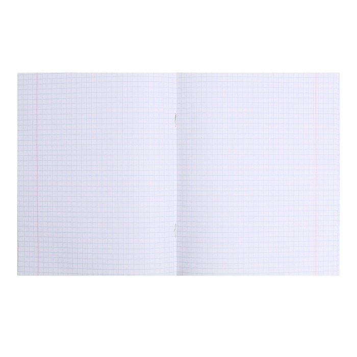 Тетрадь 48 листов в клетку Calligrata P-P-Panda, обложка мелованный картон, УФ-лак, блок офсет, МИКС