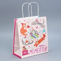 Пакет подарочный крафтовый, упаковка, &laquo;Вечеринка&raquo;, 22 х 25 х 12 см