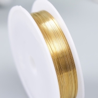 Проволока для творчества "Astra" 0,25 мм, 10 м, золото Проволока для творчества "Astra" 0,25 мм, 10 м, золото