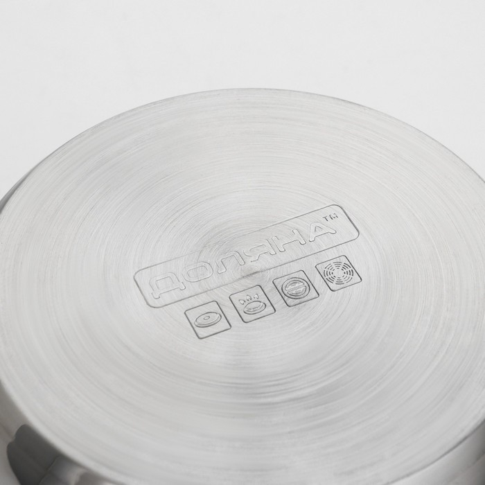 Кастрюля из нержавеющей стали с крышкой Доляна &laquo;Роскошь&raquo;, 3 л, d=20 см