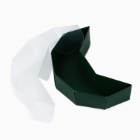 Коробка для кондитерских изделий «Изумруд», 15 х 22 х 6 см Коробка для кондитерских изделий «Изумруд», 15 х 22 х 6 см