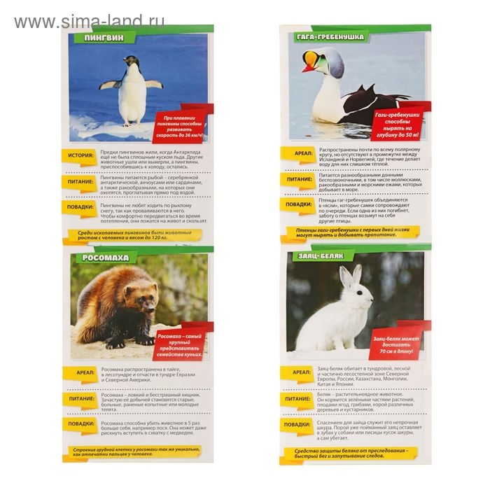 Мини-энциклопедии &laquo;Мир животных&raquo;, 8 шт. по 20 стр.