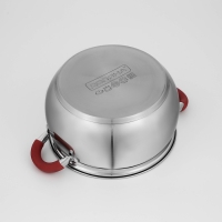 Кастрюля из нержавеющей стали Доляна &laquo;Вернер&raquo;, 3,5 л, d=20 см, с крышкой, индукция