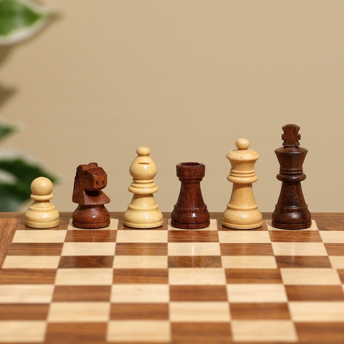 Игра настольная 2в1 (шахматы + бэкгэммон), доска 20х20 см, дерево шишам