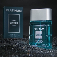 Туалетная вода мужская Platinum Water, 100 мл (по мотивам Blue Label (Givenchy) Туалетная вода мужская Platinum Water, 100 мл (по мотивам Blue Label (Givenchy)