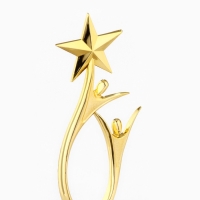 Кубок &laquo;Победитель по жизни&raquo;, наградная фигура, золото, пластик, 18 х 7 см.