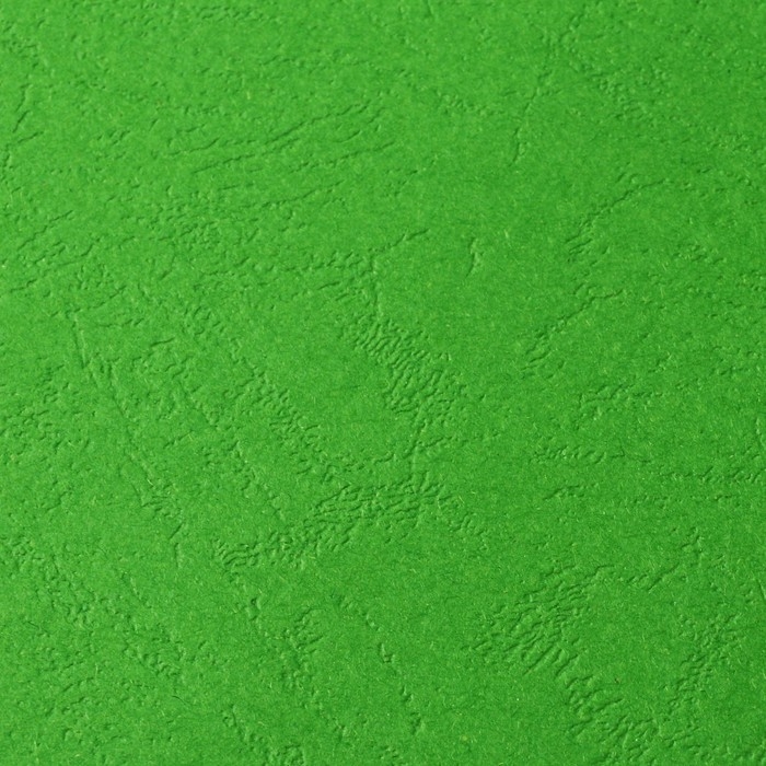 Обложки для переплета A4, 230 г/м2, 100 листов, картонные, зеленые, тиснение под Кожу, Гелеос