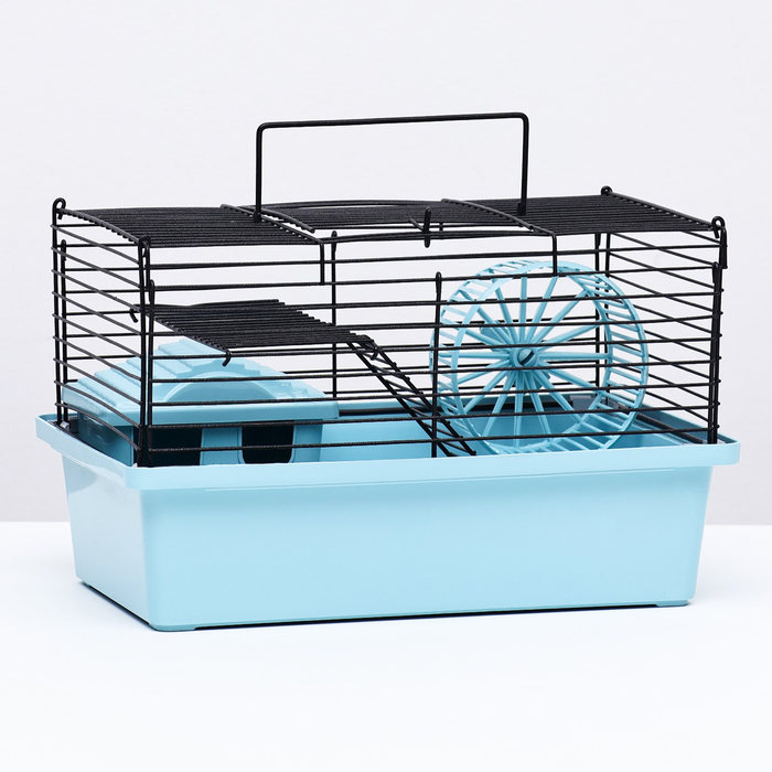 Клетка-мини для грызунов Клетка-мини для грызунов "Пижон" №2, укомплектованная, 27 х 15 х 16 см, бирюзовая