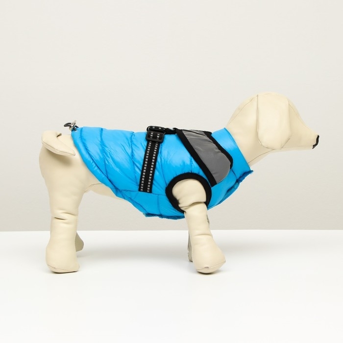 Куртка для собак со светоотражающей шлейкой, размер 14 (ДС 32, ОГ 42, ОШ 31), голубая