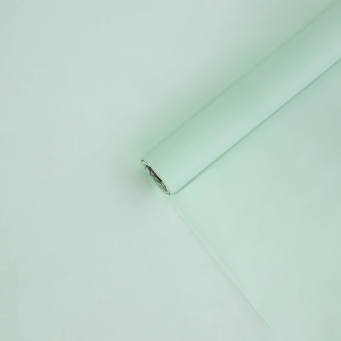 Плёнка для цветов упаковочная тишью влагостойкая &laquo;Мята&raquo;, 0.6 x 8 м, 30мкм