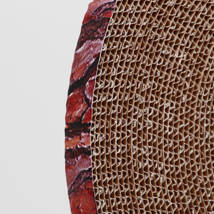 Гофрокогтеточка Гофрокогтеточка "Пижон" круглая "Спил сосны", с пропиткой, 28 х 2,5 см