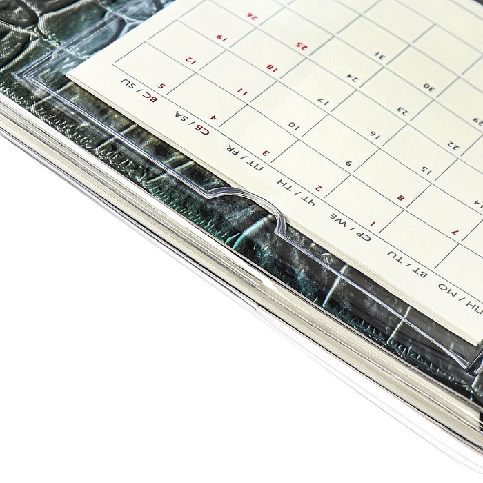 Еженедельник датированный 2025 год, ESCALADA "змея металлик", мягкая обложка ПВХ, 64 листа, блок 70 г/м&sup2;, 180 х 127мм