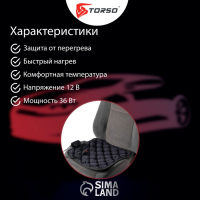 Накидка с подогревом TORSO, 12 В, регулятор, 42×42 см, провод 90 см, черный Накидка с подогревом TORSO, 12 В, регулятор, 42×42 см, провод 90 см, черный