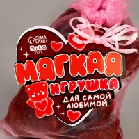 Мягкая игрушка в мешочке "Для самой любимой" МИКС Мягкая игрушка в мешочке "Для самой любимой" МИКС