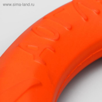 Кольцо "ДогЛайк" D-2611, 8-мигранное, большое, ⌀ 30,5 см Кольцо "ДогЛайк" D-2611, 8-мигранное, большое, ⌀ 30,5 см