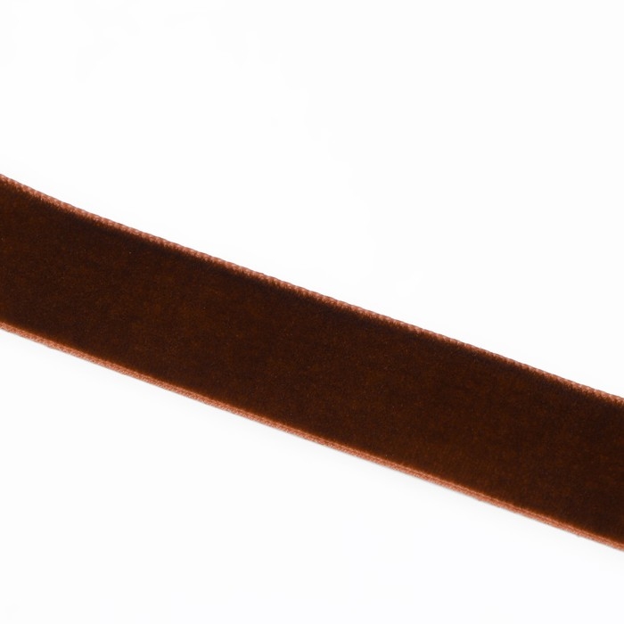 Лента бархатная, 20 мм, 18 ± 1 м, цвет коричневый №119 Лента бархатная, 20 мм, 18 ± 1 м, цвет коричневый №119