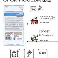 Семена Огурец Аннушка F1 12 шт