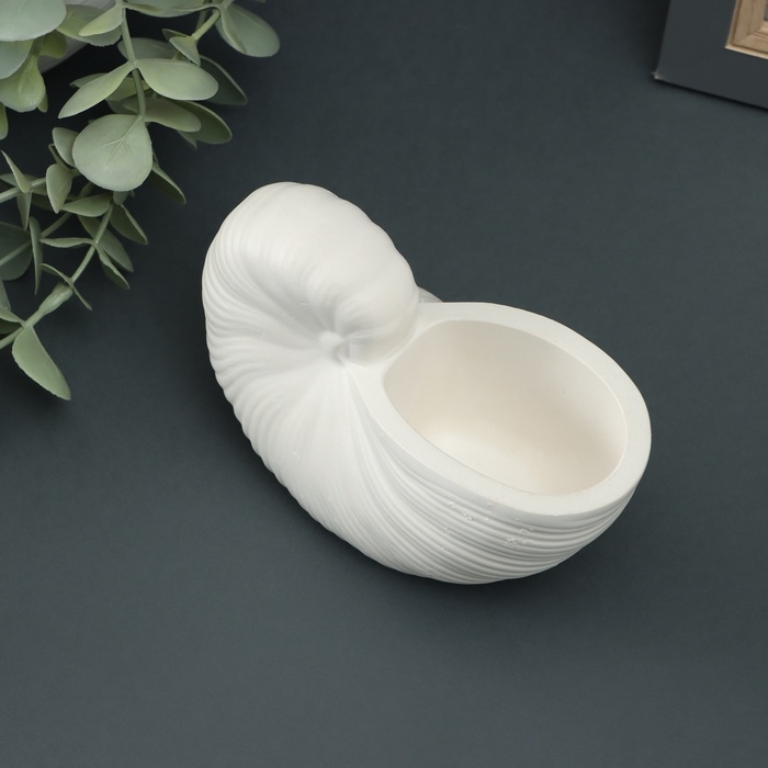 Гипсовая ваза декоративная настольная &laquo;Ракушка&raquo;, для цветов, сухоцветов, 8&times;13х7см, белый