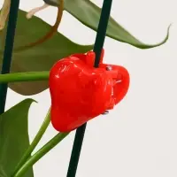 Клипса для растений &laquo;Клубника&raquo;, набор 10 шт., МИКС, Greengo